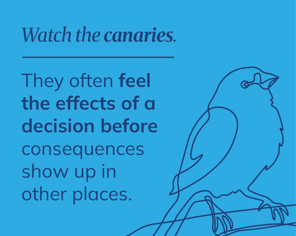 Canary